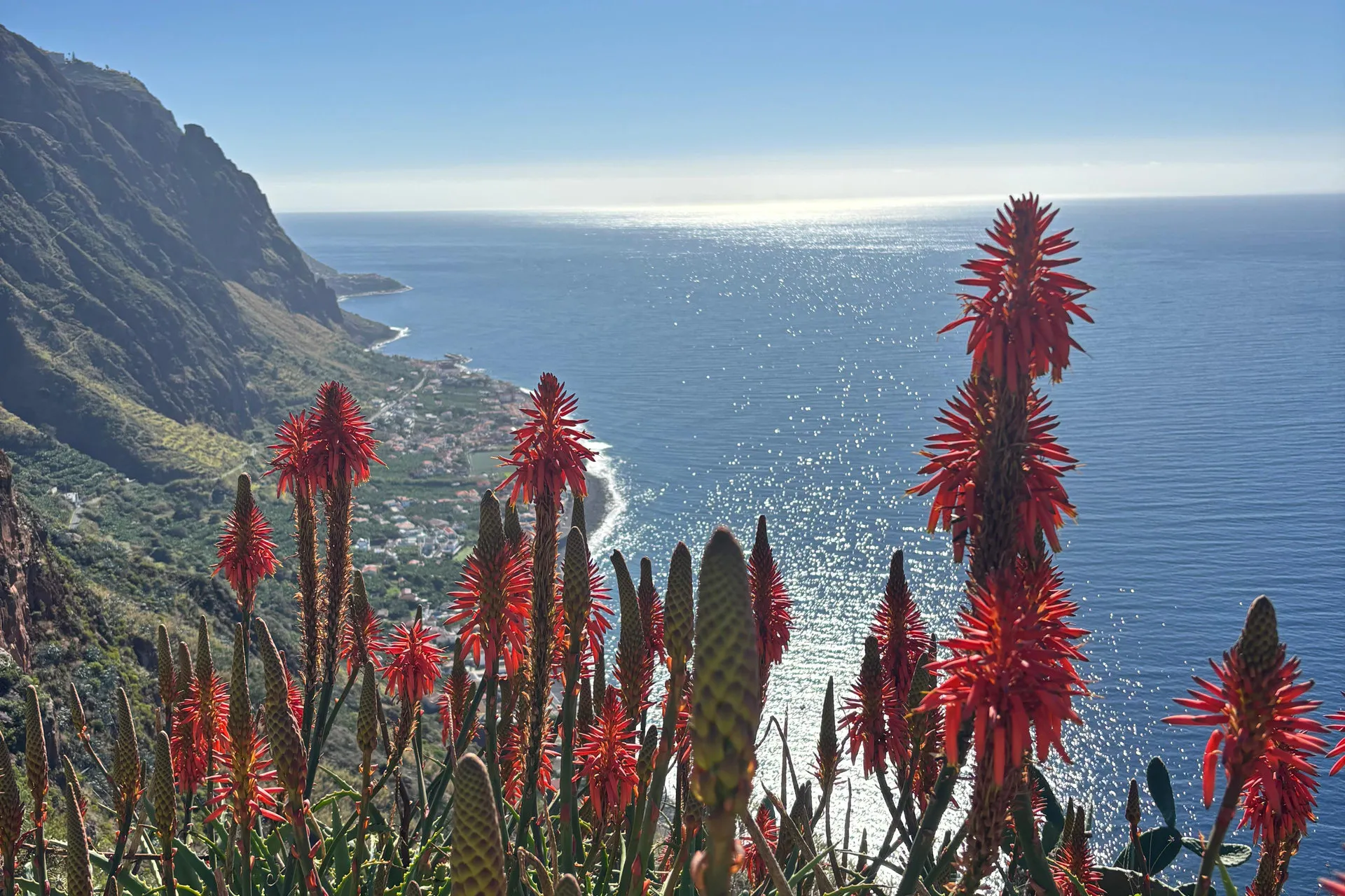 Southwest Madeira coastline and cliff view