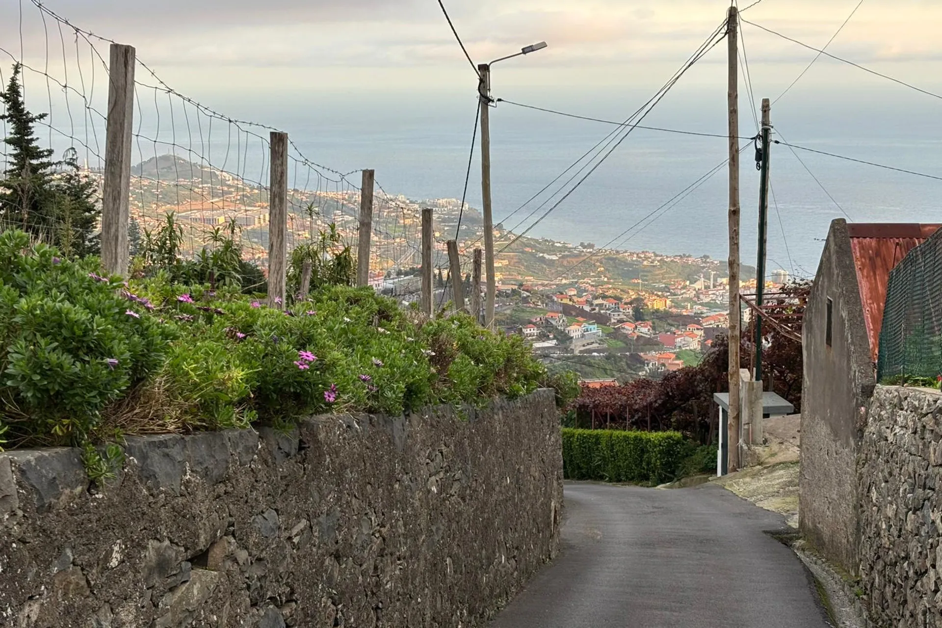 Madeira vineyard terraces and village scenery